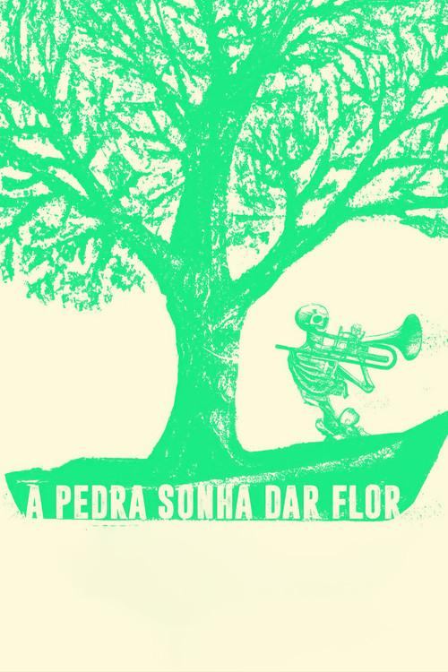 A Pedra Sonha Dar Flor 2024 official movie poster