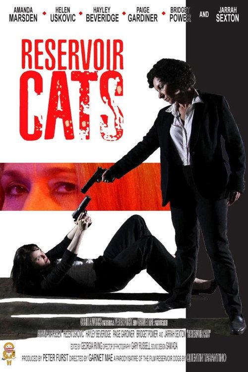 Reservoir Cats 2011 official movie poster