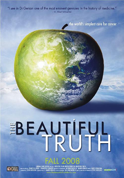 The Beautiful Truth 2008 official movie poster
