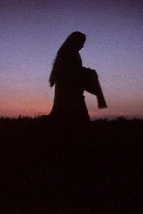 Women in the Shadows 1991 official movie poster