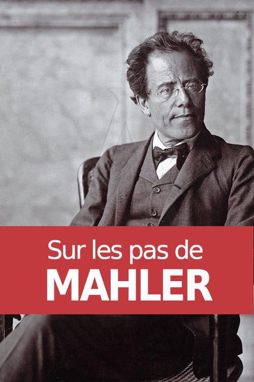 Sur les pas de Mahler 2013 official movie poster