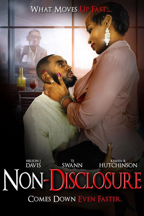 Non-Disclosure 2022 official movie poster