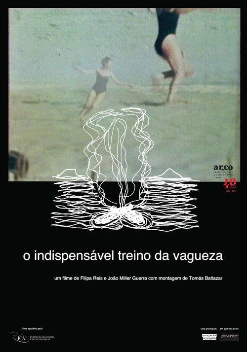 The Indispensable Practice of Vagueness 2014 official movie poster