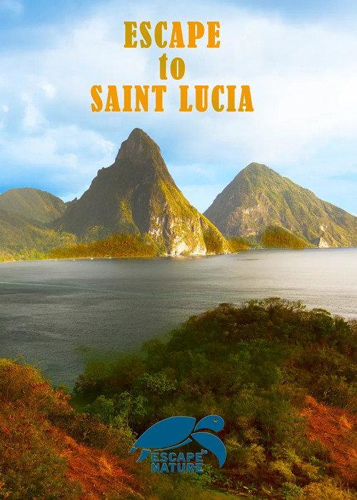 Escape to Saint Lucia 2013 official movie poster
