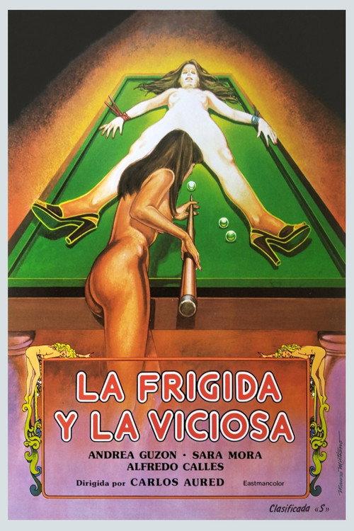 Frigid Fantasies 1981 official movie poster