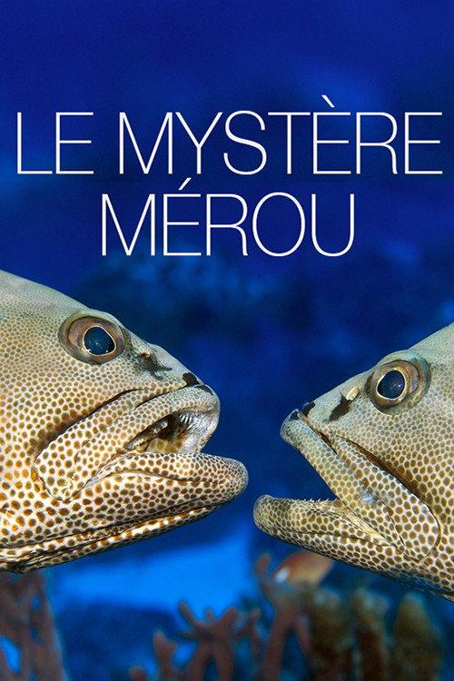 The Grouper Mystery 2015 official movie poster