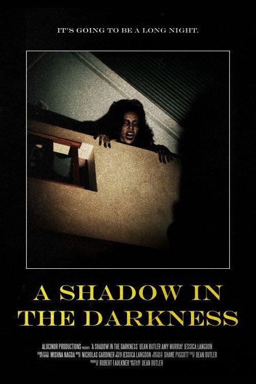A Shadow In The Darkness 2022 official movie poster