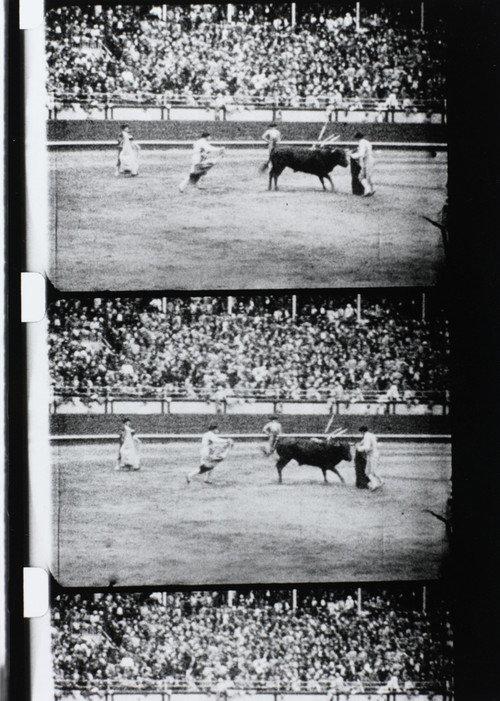 Corrida 1929 official movie poster