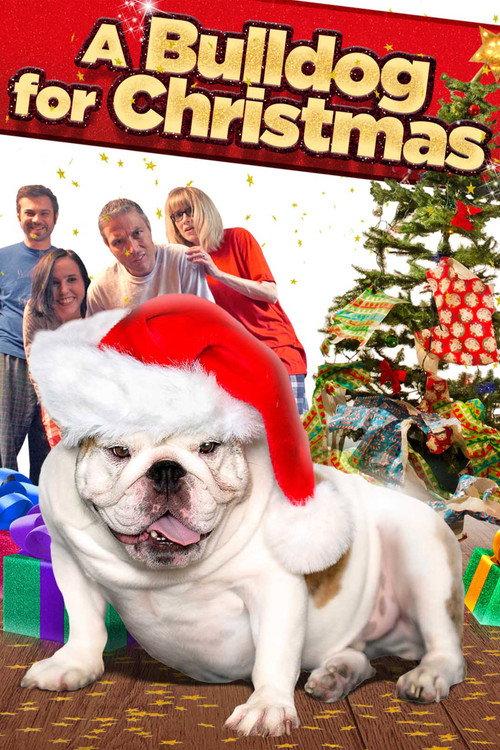 A Bulldog for Christmas 2013 official movie poster