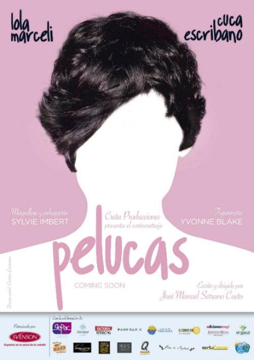 Wigs 2014 official movie poster