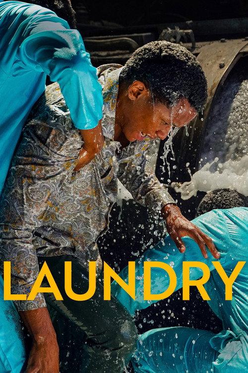Laundry 2026 official movie poster