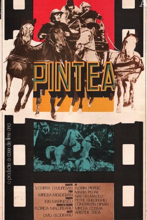 Pintea 1976 official movie poster