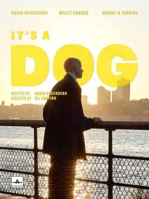 It's a Dog 2022 official movie poster