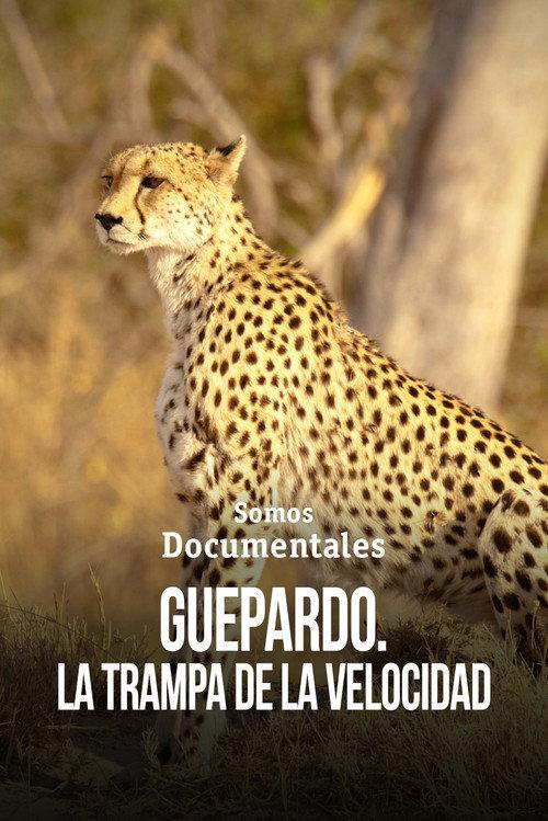 Cheetah – Speed Trap  official movie poster