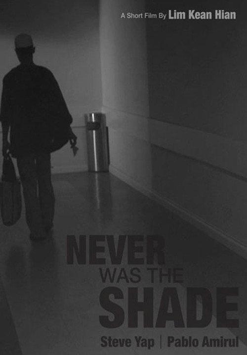Never Was The Shade official movie poster