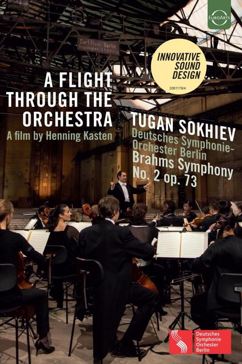 A Flight Through the Orchestra 2015 official movie poster