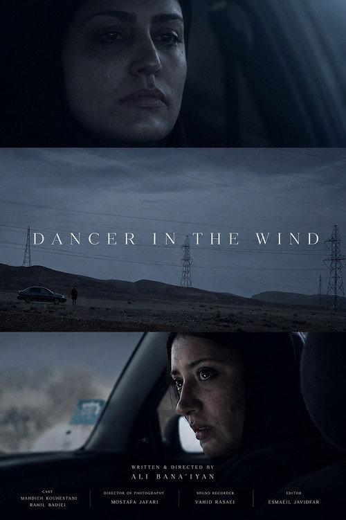 Dancer In The Wind 2014 official movie poster