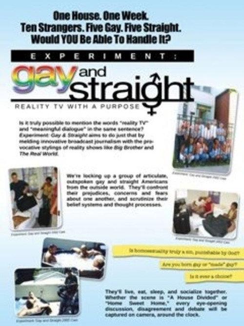 The Experiment: Gay & Straight 2003 official movie poster