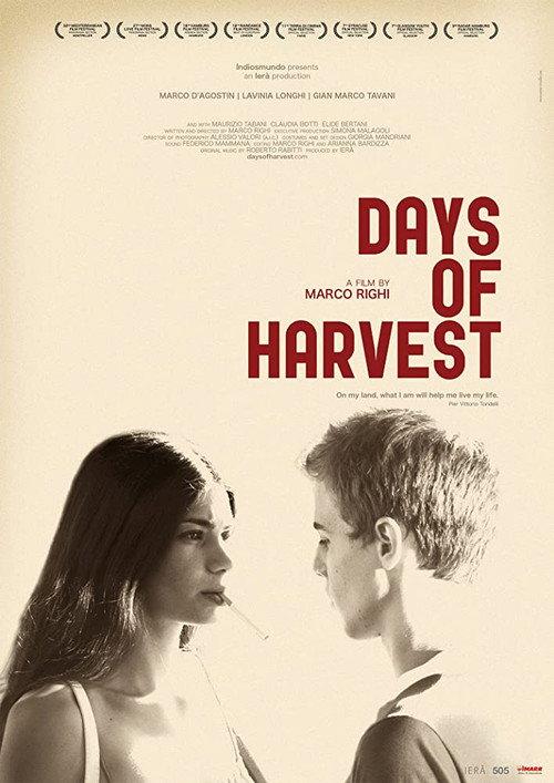 Days of Harvest 2010 official movie poster