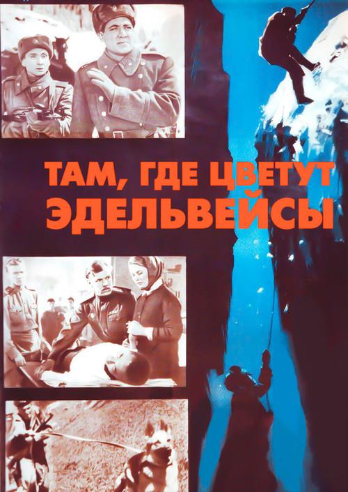 Where the Edelweiss Blooms 1965 official movie poster