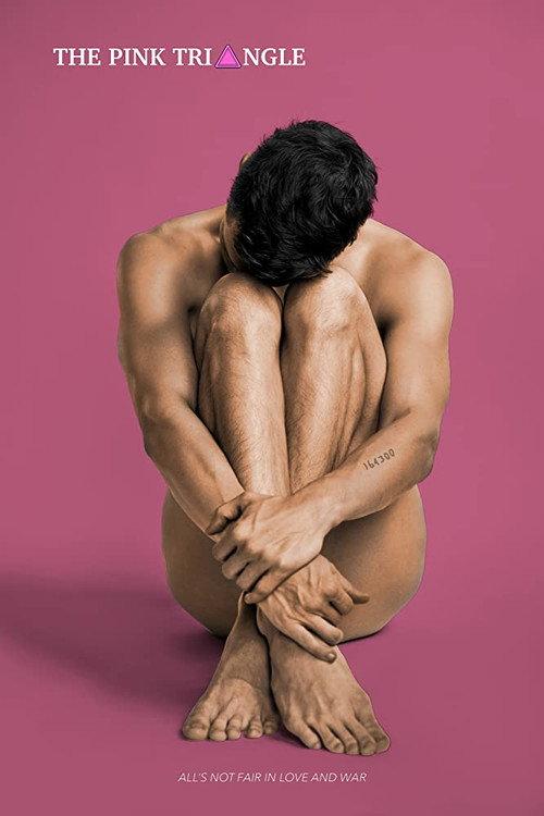 The Pink Triangle 2020 official movie poster