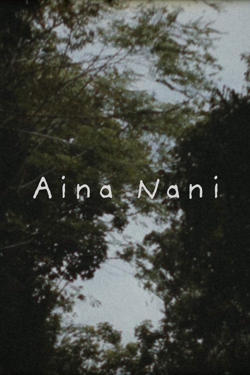 Aina Nani 2023 official movie poster
