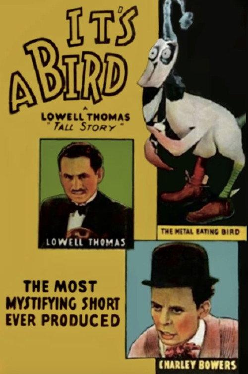 It's a Bird 1930 official movie poster