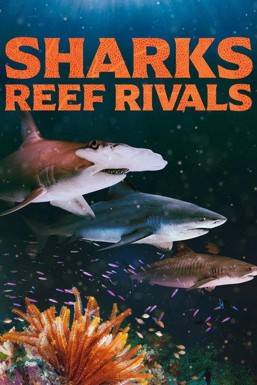 Sharks: Reef Rivals 2026 official movie poster