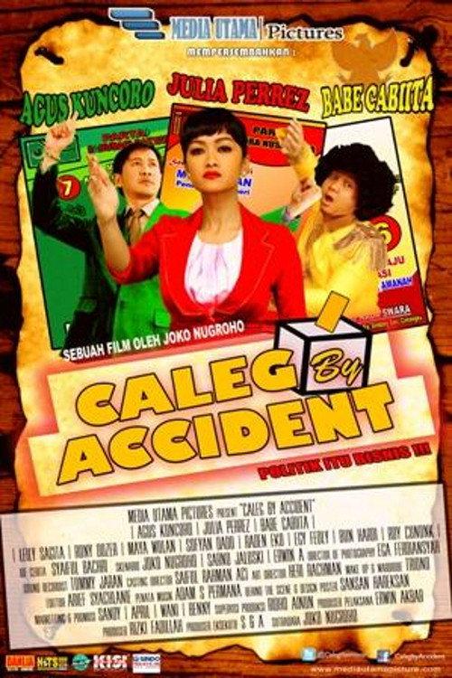 Caleg By Accident 2014 official movie poster