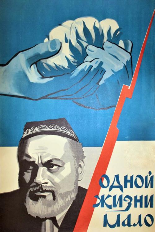 One Life is Not Enough 1974 official movie poster