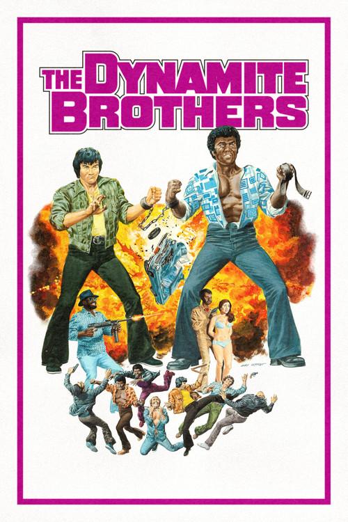 The Dynamite Brothers 1974 official movie poster