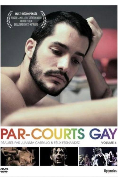 Par-courts Gay, Volume 4 2015 official movie poster
