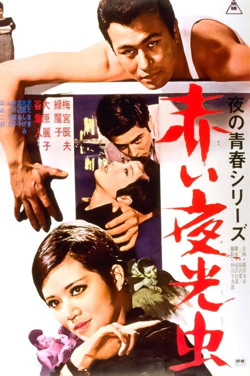 Nocturnal Lights 1966 official movie poster