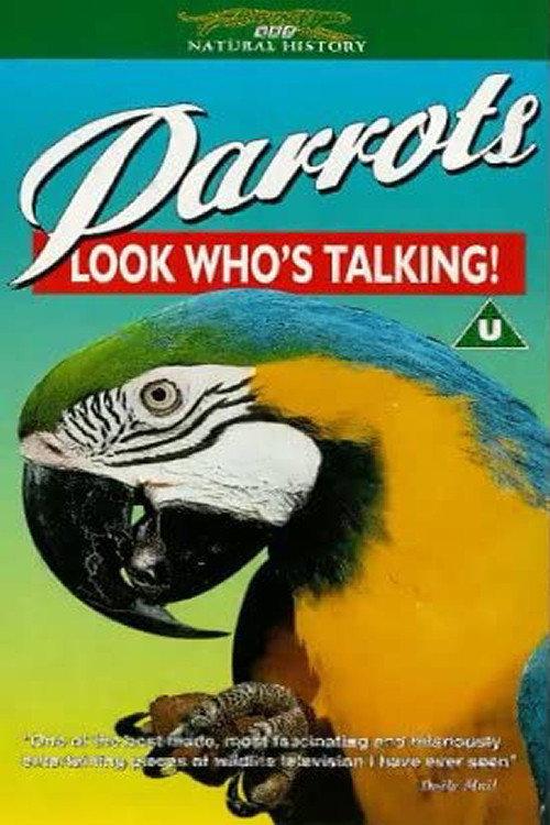 Parrots: Look Who's Talking 1995 official movie poster