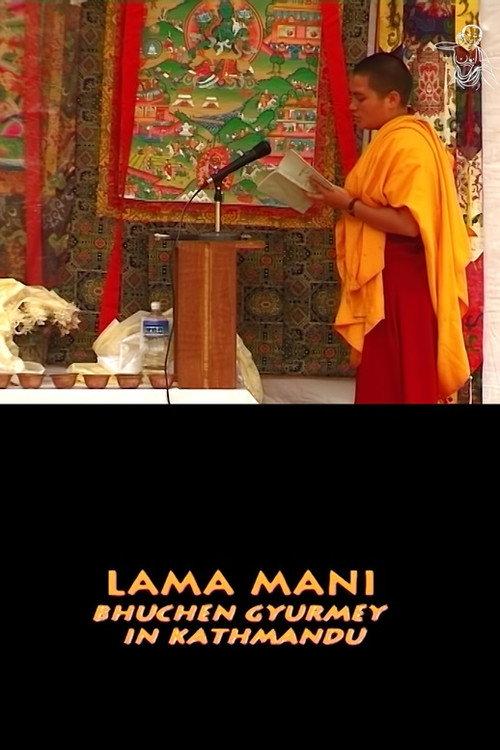 Lama Mani 2003 official movie poster