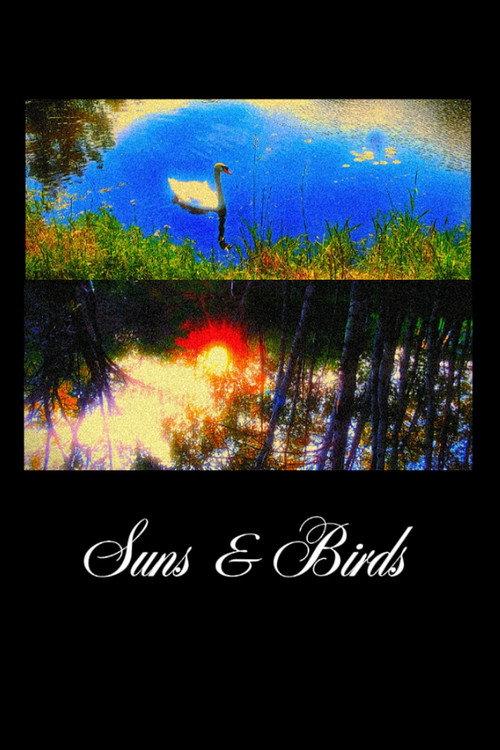 Suns & Birds 2025 official movie poster