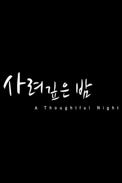 A Thoughtful Night 2013 official movie poster
