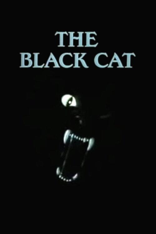 The Black Cat 1995 official movie poster