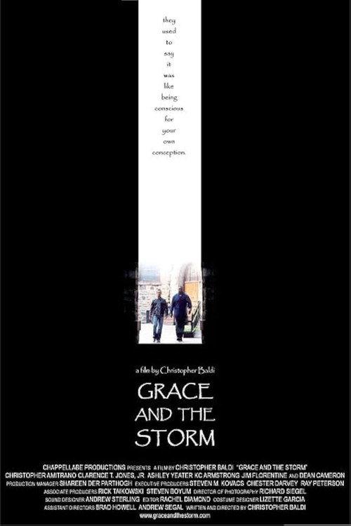 Grace And The Storm 2004 official movie poster