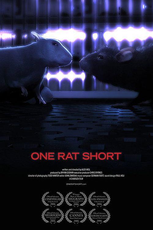 One Rat Short 2006 official movie poster