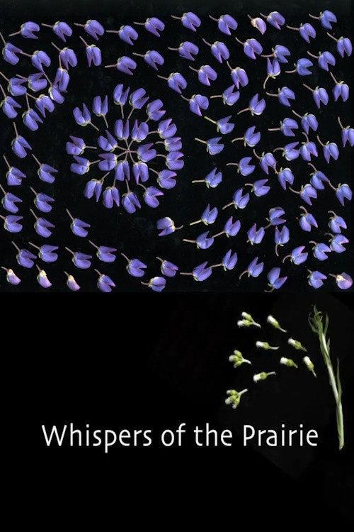 Whispers of the Prairie 2013 official movie poster