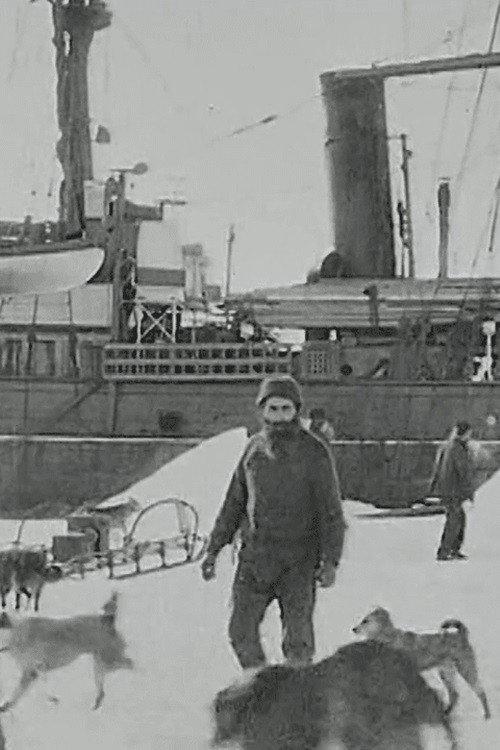 Baldwin-Ziegler North Pole Expedition 1910 official movie poster