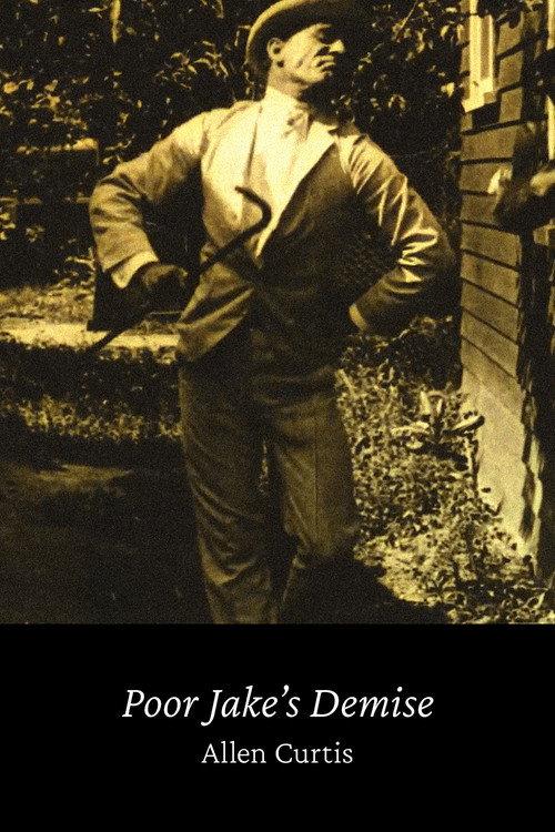 Poor Jake's Demise 1913 official movie poster