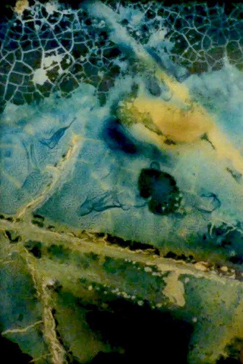 Water Mining (Eaton Canyon) 2021 official movie poster