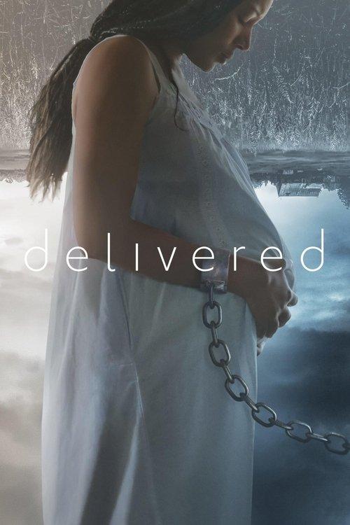 Delivered 2020 official movie poster