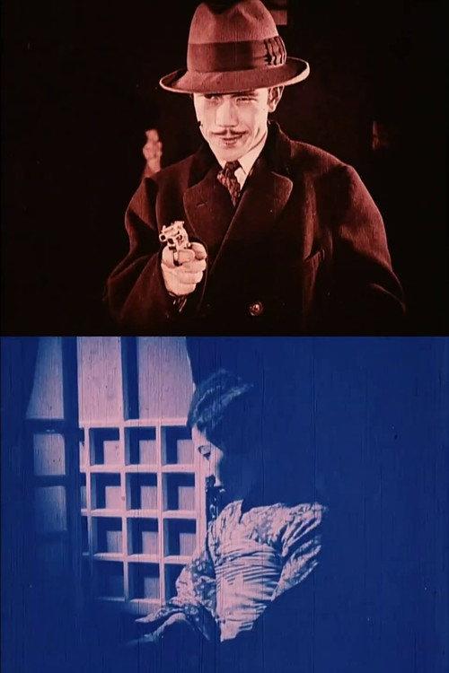 The Golden Bullet 1927 official movie poster