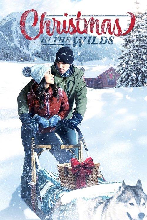 Christmas in the Wilds 2021 official movie poster