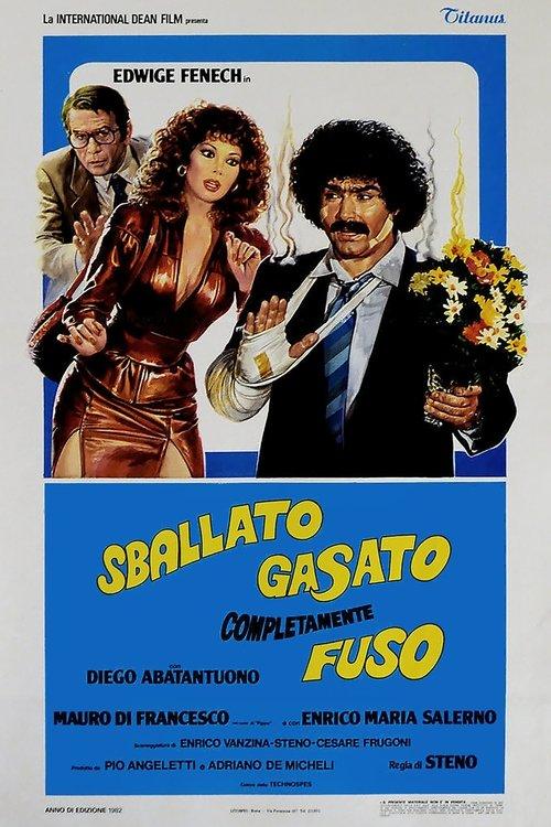 An Ideal Adventure 1982 official movie poster