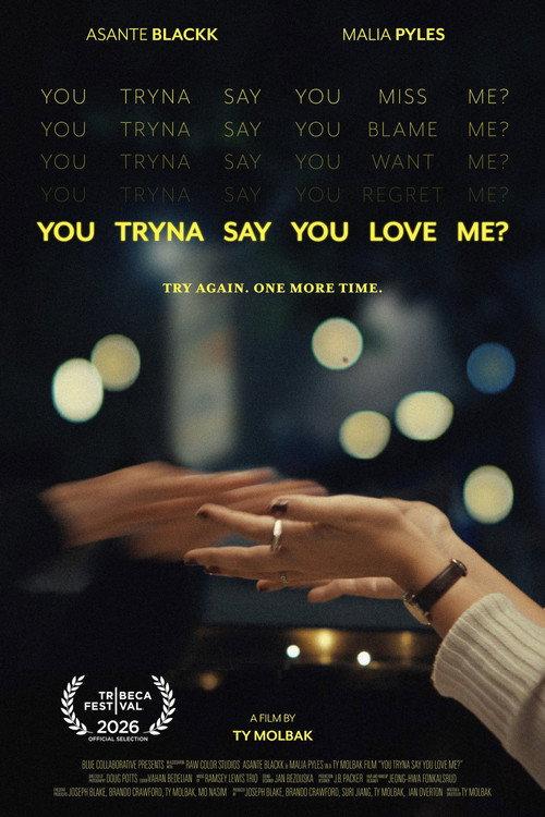 You Tryna Say You Love Me? 2026 official movie poster