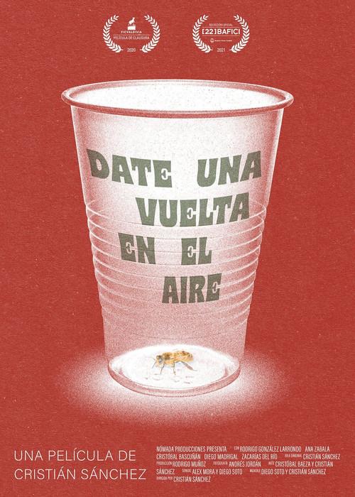 Take a Spin in the Air 2020 official movie poster